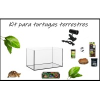 Kit completo de Tortugas Terrestres Kit completo de Tortugas Terrestres